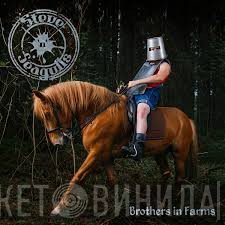 Steve'n'Seagulls - Brothers In Farms