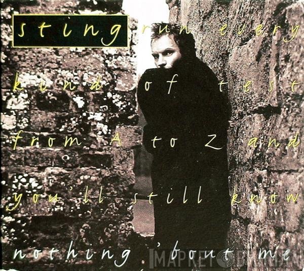 Sting  - Nothing 'Bout Me