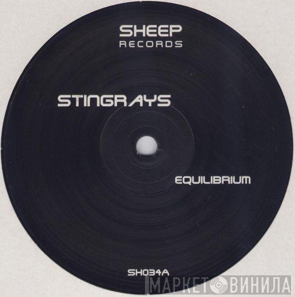 Stingrays - Equilibrium