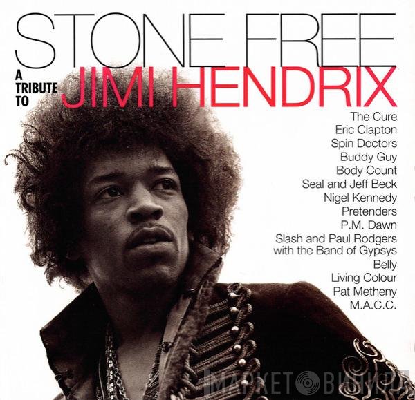  - Stone Free (A Tribute To Jimi Hendrix)