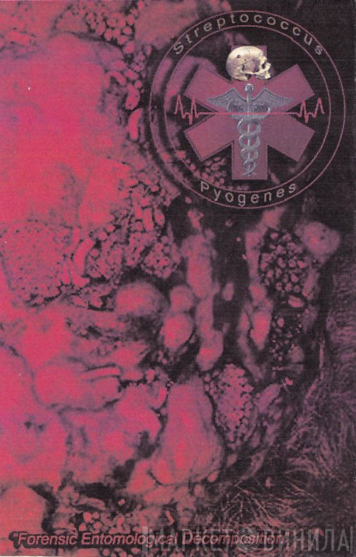 Streptococcus Pyogenes / Infester   - Pathologigore Split Tape 2011