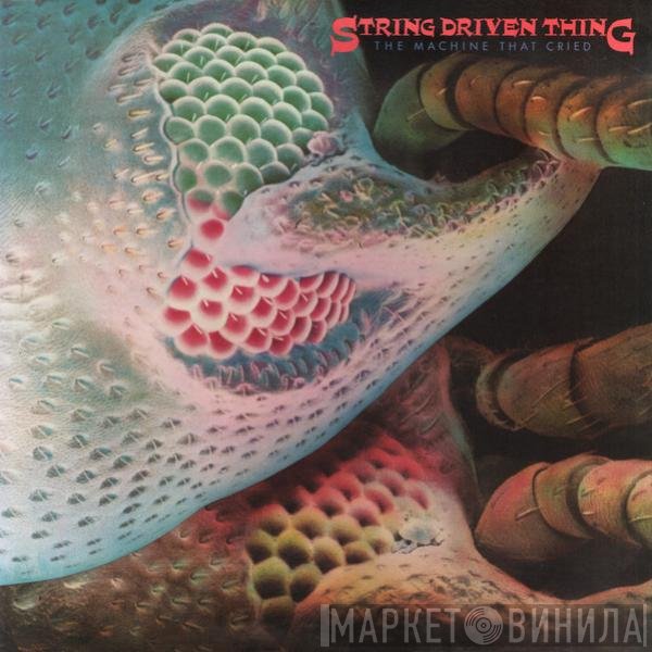 String Driven Thing  - The Machine That Cried