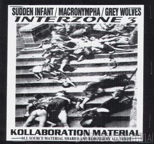 Sudden Infant / Macronympha / The Grey Wolves  - Interzone 3