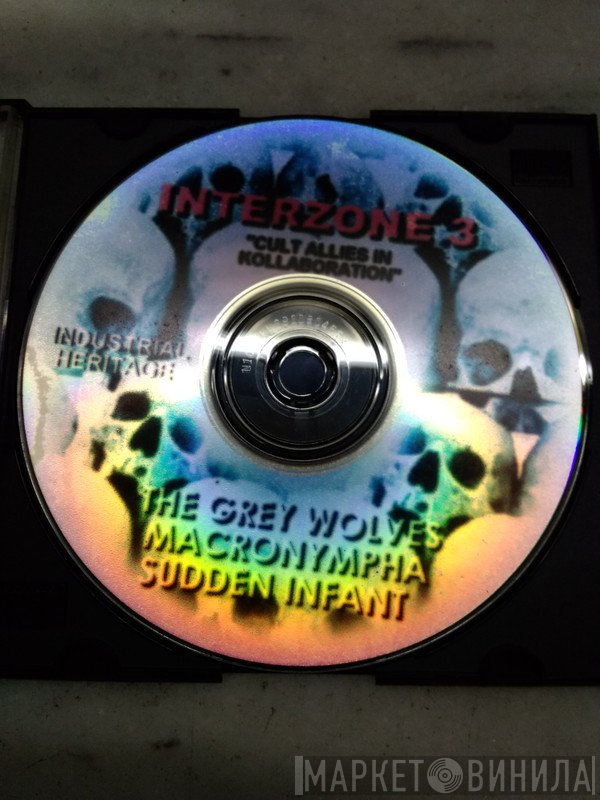 Sudden Infant / The Grey Wolves / Macronympha  - Interzone 3