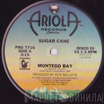 Sugar Cane - Montego Bay