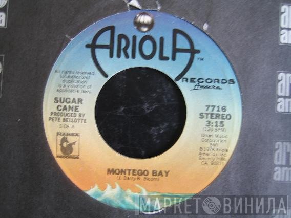 Sugar Cane - Montego Bay