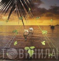 Sun Araw  - Beach Head