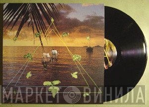 Sun Araw  - Beach Head