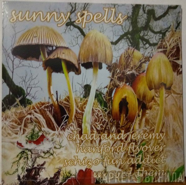  - Sunny Spells