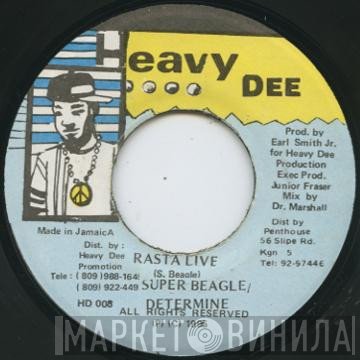 Super Beagle, Determine  - Rasta Live