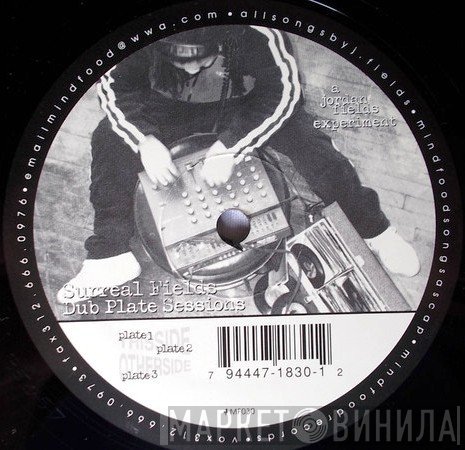 Surreal Fields - Dub Plate Sessions