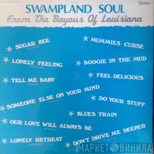 - Swampland Soul