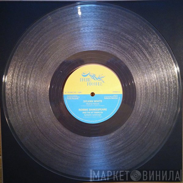 Sylvan White, Robbie Shakespeare, Earth Warrior, Delroy Melody  - Magnetic Buzz Riddim