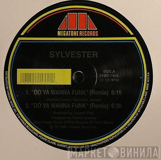 Sylvester - Do Ya Wanna Funk (Remix)