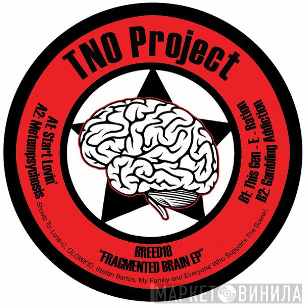 TNO Project  - Fragmented Brain