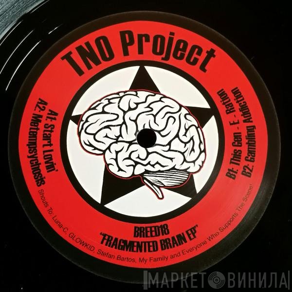 TNO Project - Fragmented Brain