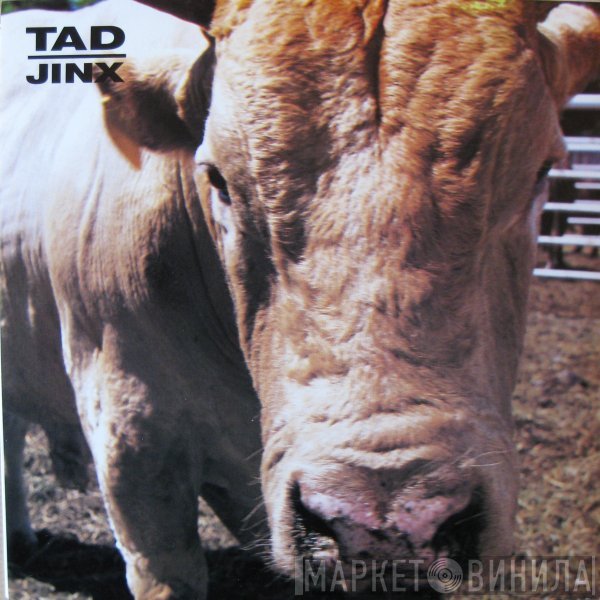 Tad  - Jinx