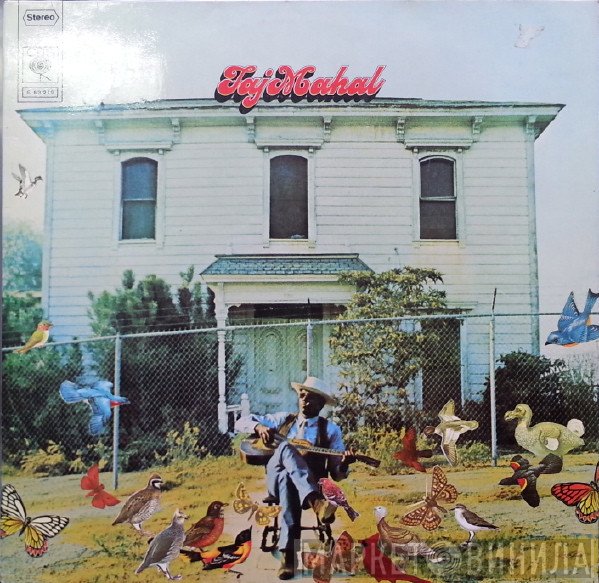 Taj Mahal  - Taj Mahal