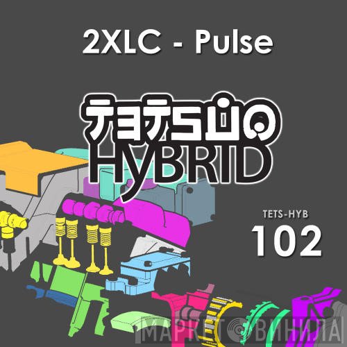 Talla 2XLC  - Pulse