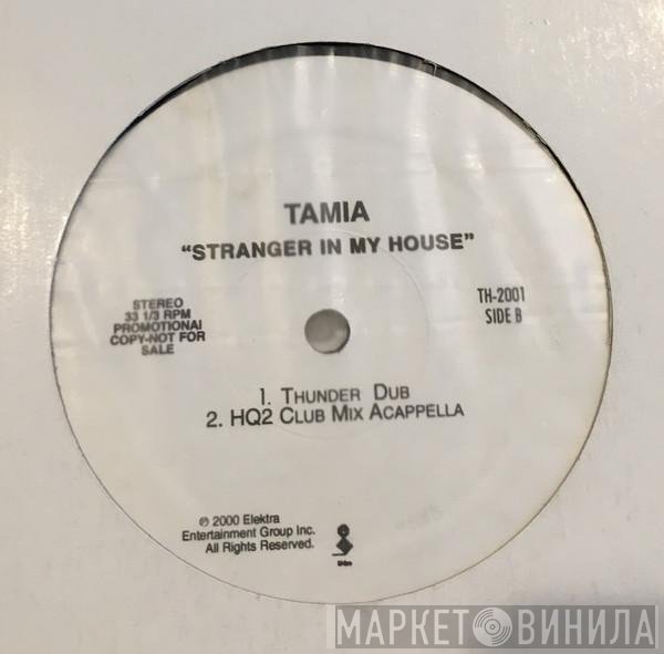 Tamia  - Stranger In My House