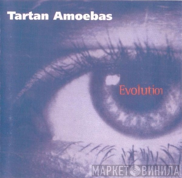 Tartan Amoebas - Evolution