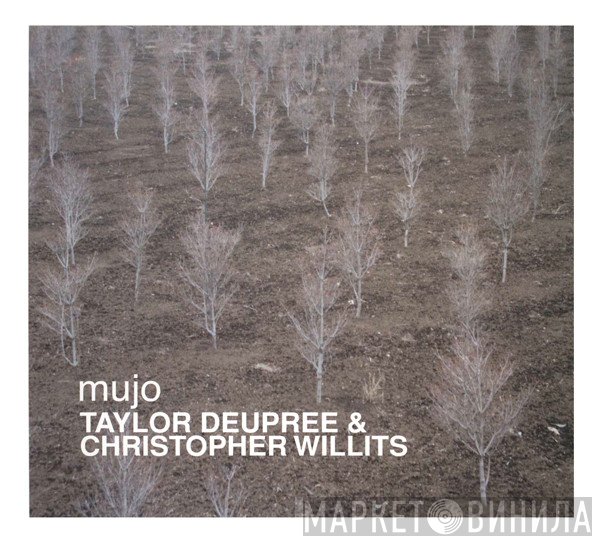 Taylor Deupree & Christopher Willits  - Mujo