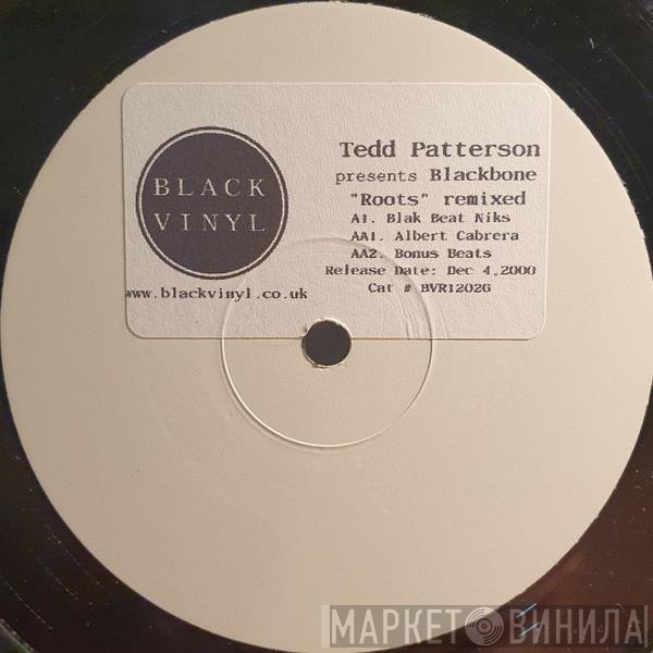 Tedd Patterson Presents Blackbone  - Roots Remixed