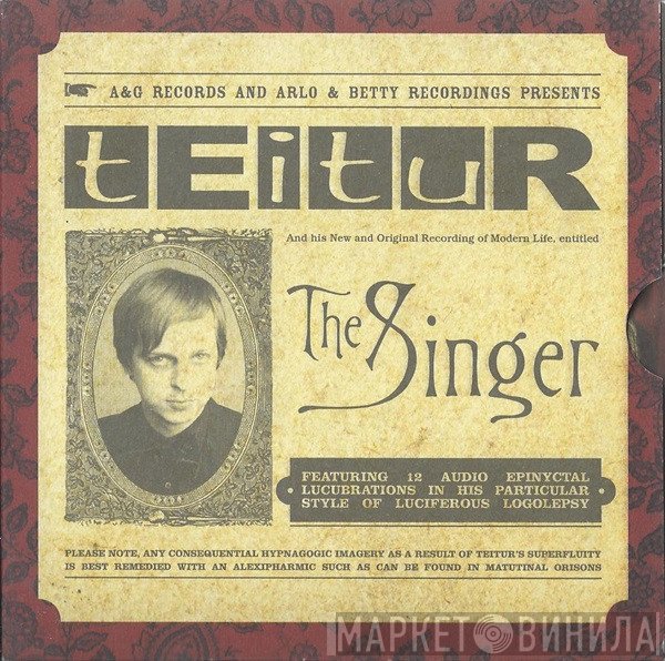 Teitur - The Singer