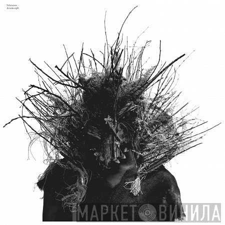Teleseen - Anamorph