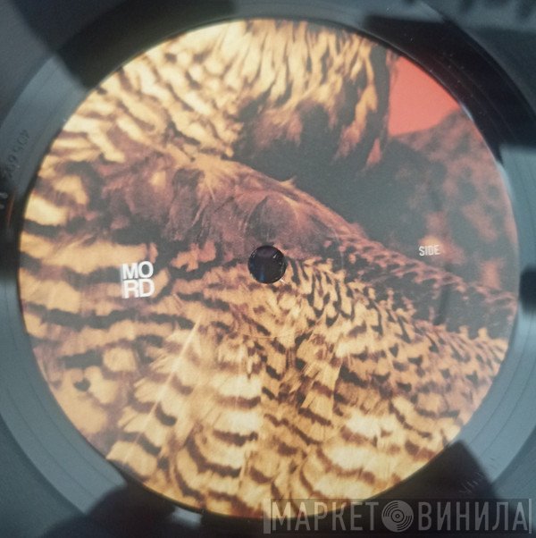 Tensal, Amorphic - Highland Frequencies EP