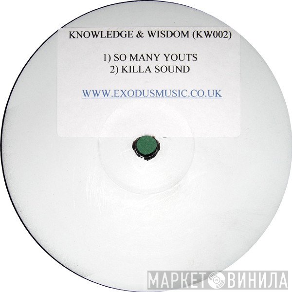 Terry Tee - So Many Yout's / Kill A Sound