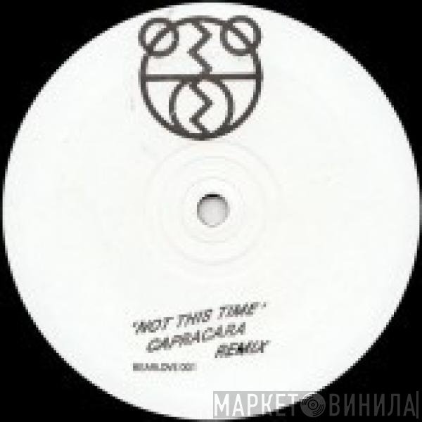 The 2 Bears - Not This Time (Capracara Remix)