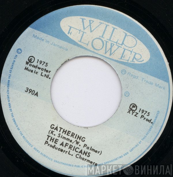 The Africans - Gathering