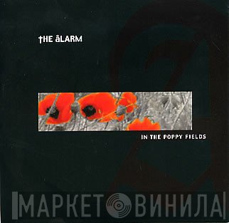 The Alarm  - In The Poppy Fields