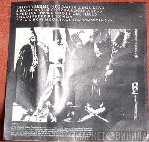 The Anti Group  - Digitaria