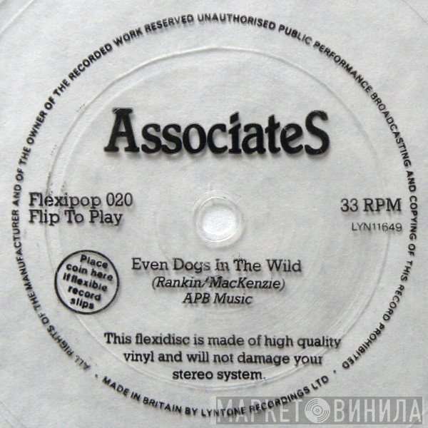 The Associates - Even Dogs In The Wild