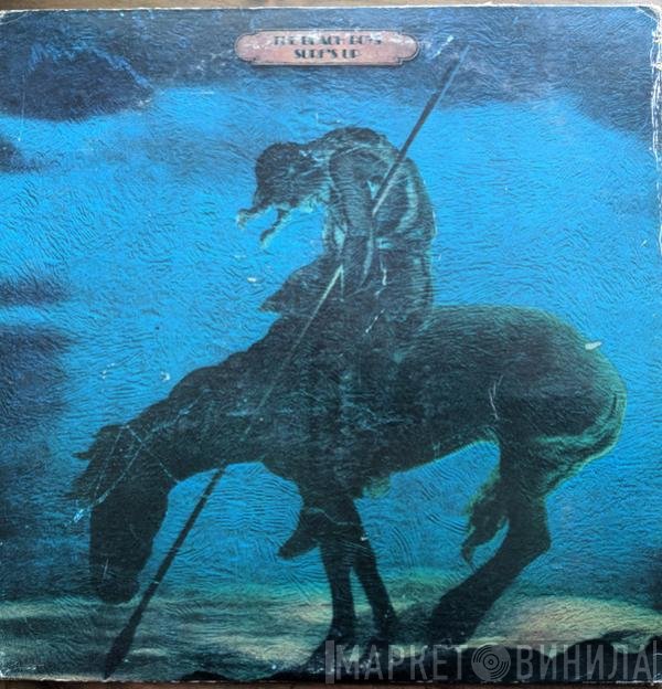 The Beach Boys  - Surf's Up