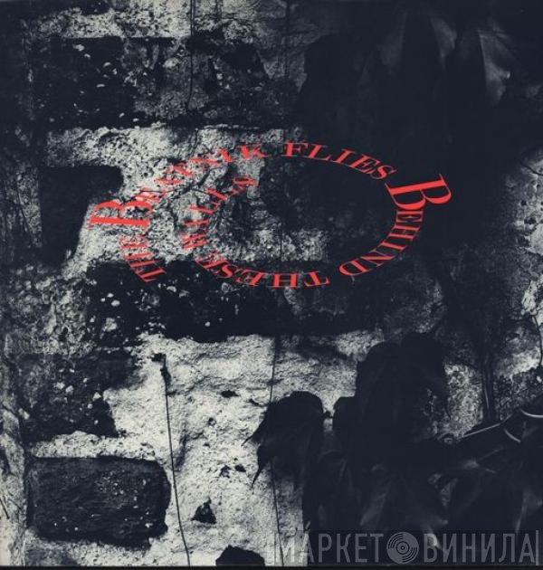 The Beatnik Flies - Behind These Walls