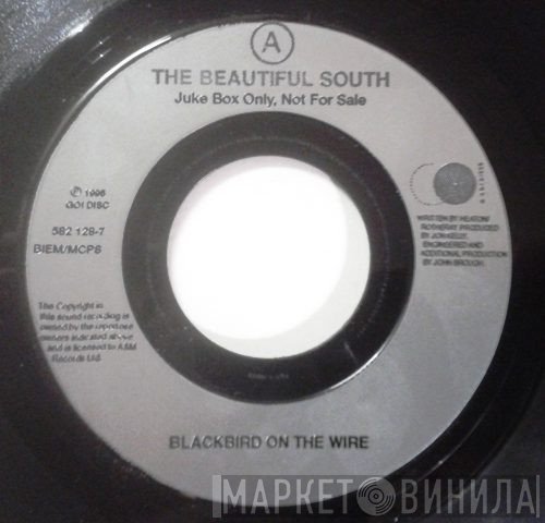 The Beautiful South - Blackbird On The Wire