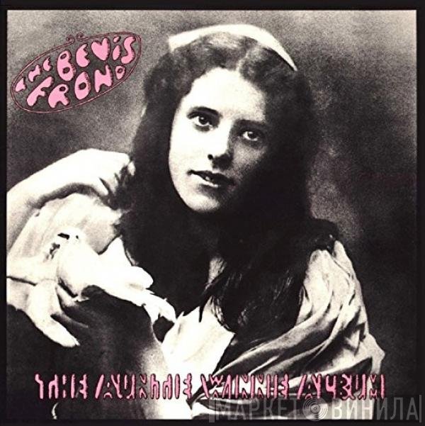 The Bevis Frond - The Auntie Winnie Album