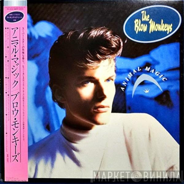 The Blow Monkeys  - Animal Magic