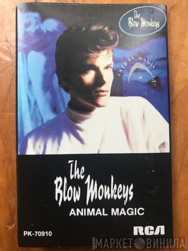 The Blow Monkeys  - Animal Magic