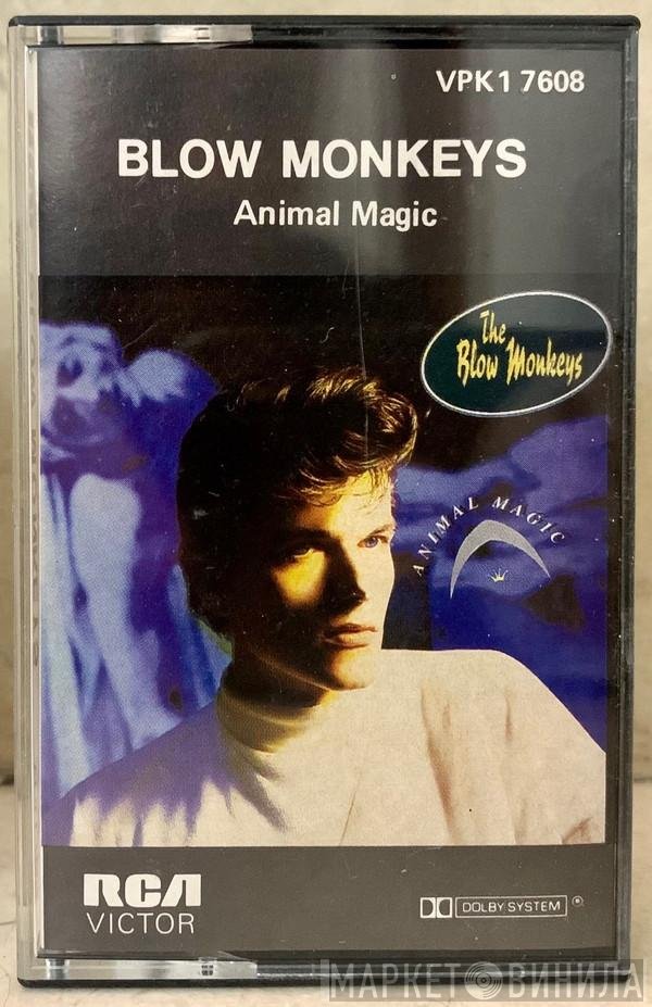 The Blow Monkeys  - Animal Magic