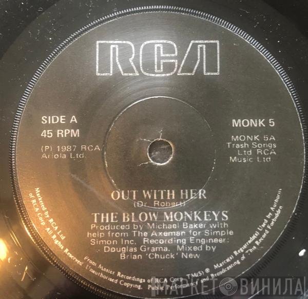 The Blow Monkeys Featuring Sylvia Tella  - Choice?