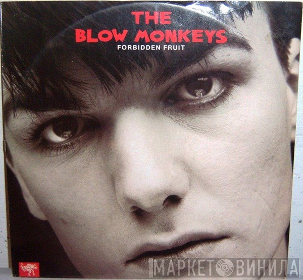 The Blow Monkeys - Forbidden Fruit