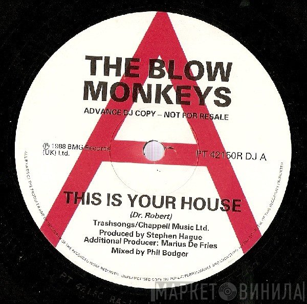 The Blow Monkeys - This Is Your House
