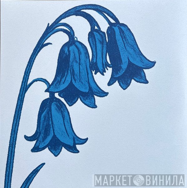 The Bluebells - This is...