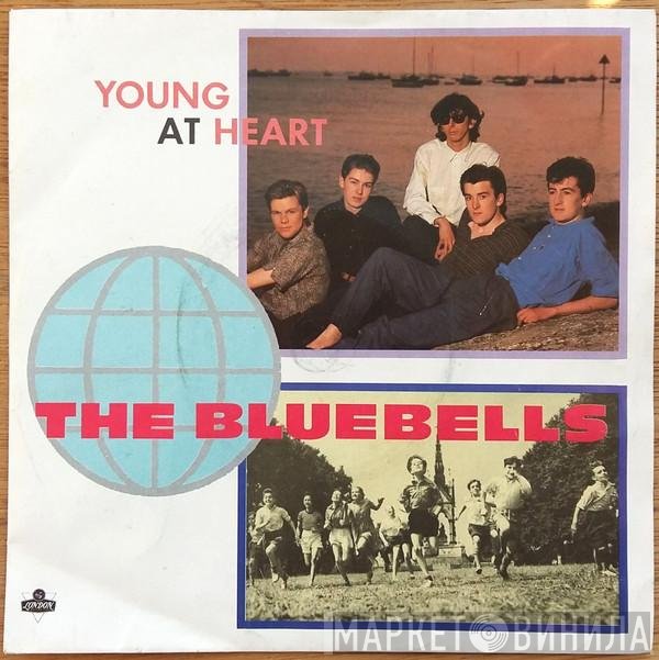 The Bluebells  - Young At Heart