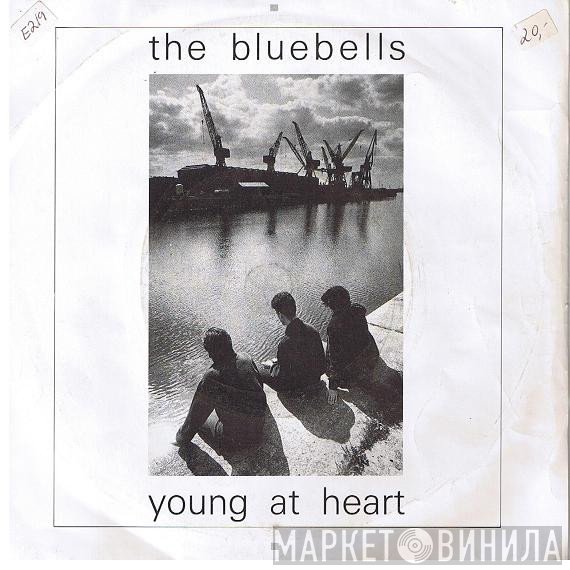 The Bluebells - Young At Heart