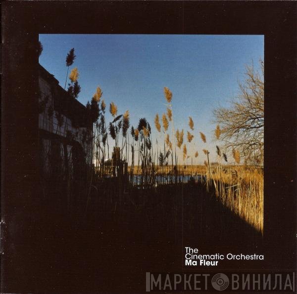 The Cinematic Orchestra  - Ma Fleur